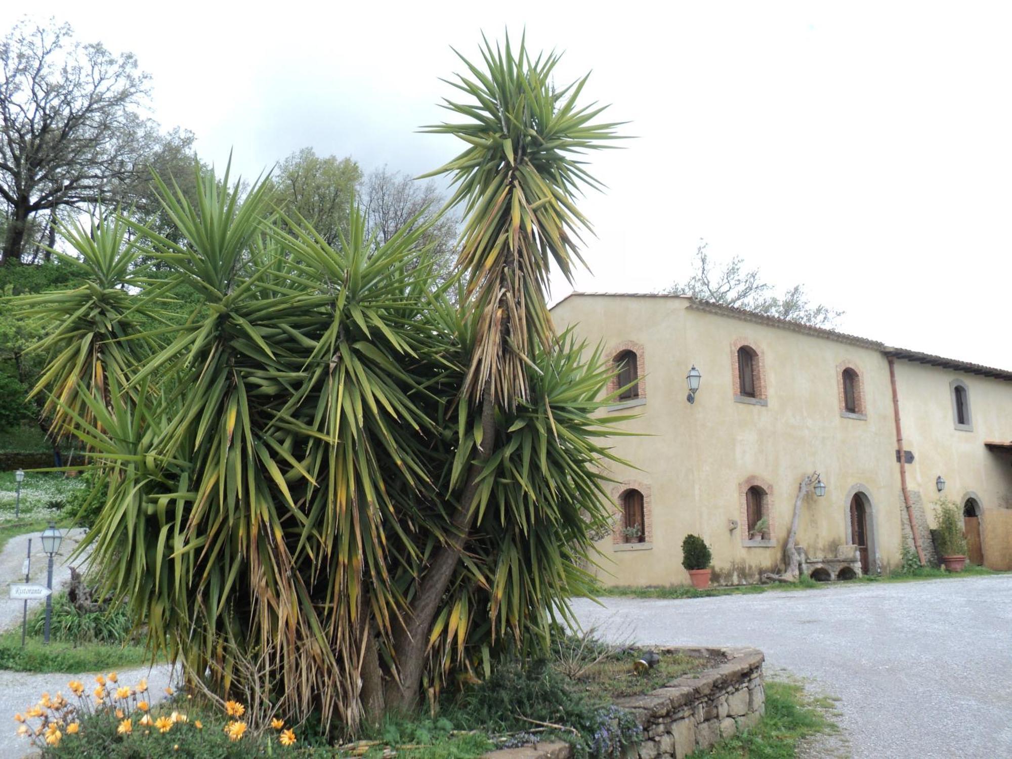 Agriturismo Il Daino San Piero Patti Exterior photo